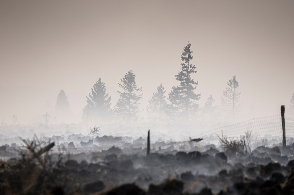 Smoke rises from a scorched field as a wildfire burns near Waimes, Belgium, Monday, Aug. 17, 2026. (AP Photo/Valentin Bianchi)