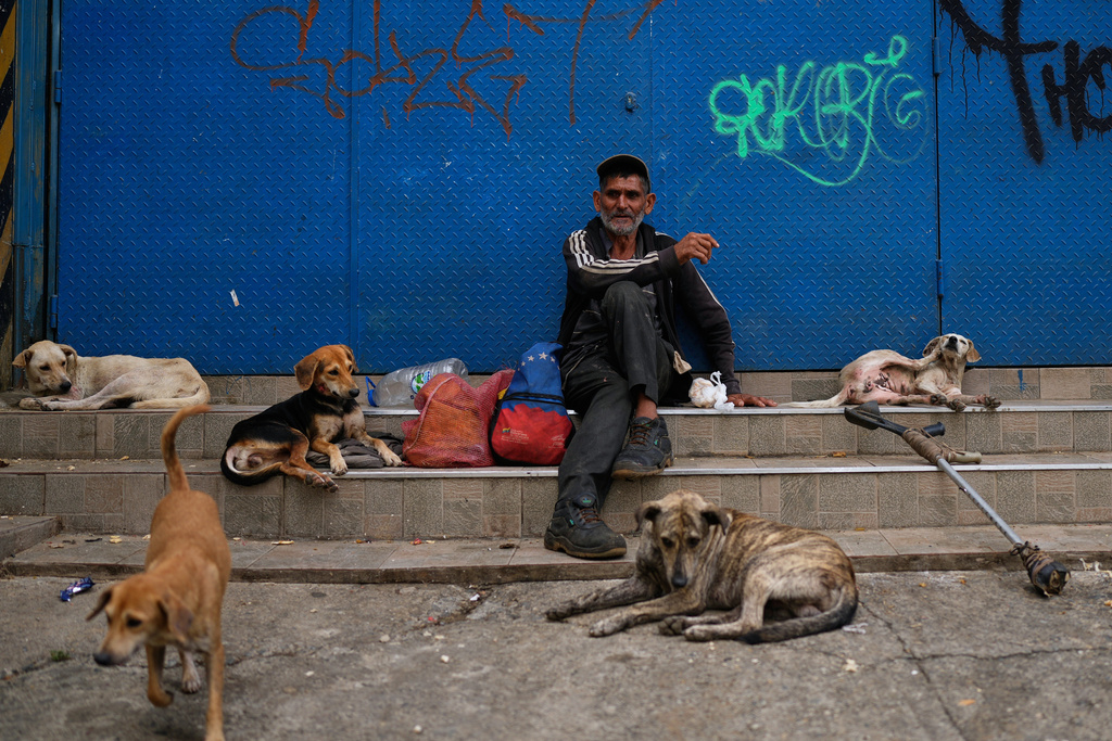 FILE - Lazaro sits alongside street dogs that he cares for, in Caracas, Venezuela, Nov. 20, 2025. (AP Photo/Ariana Cubillos, File)