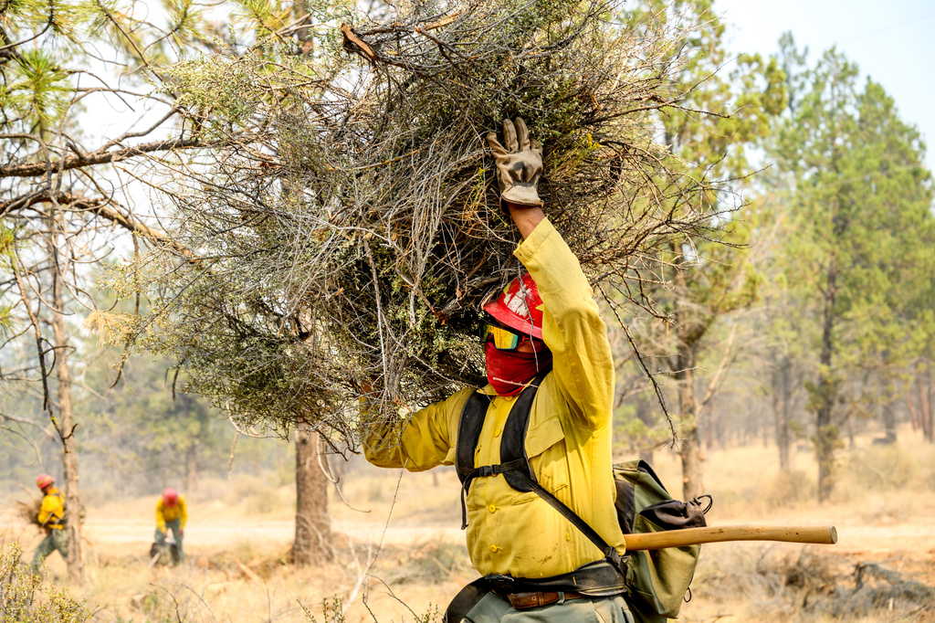 A firefighter clears vegetation as the Akawa Butte fire approaches on Friday, July 24, 2026, near Sisters, Ore. (AP Photo/Noah Berger)