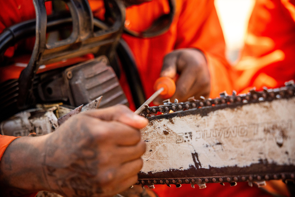 A Pine Grove Youth Conservation Camp inmate sharpens a chainsaw after clearing brush, July 14, 2025, near Ione, Calif. (AP Photo/Ethan Swope)