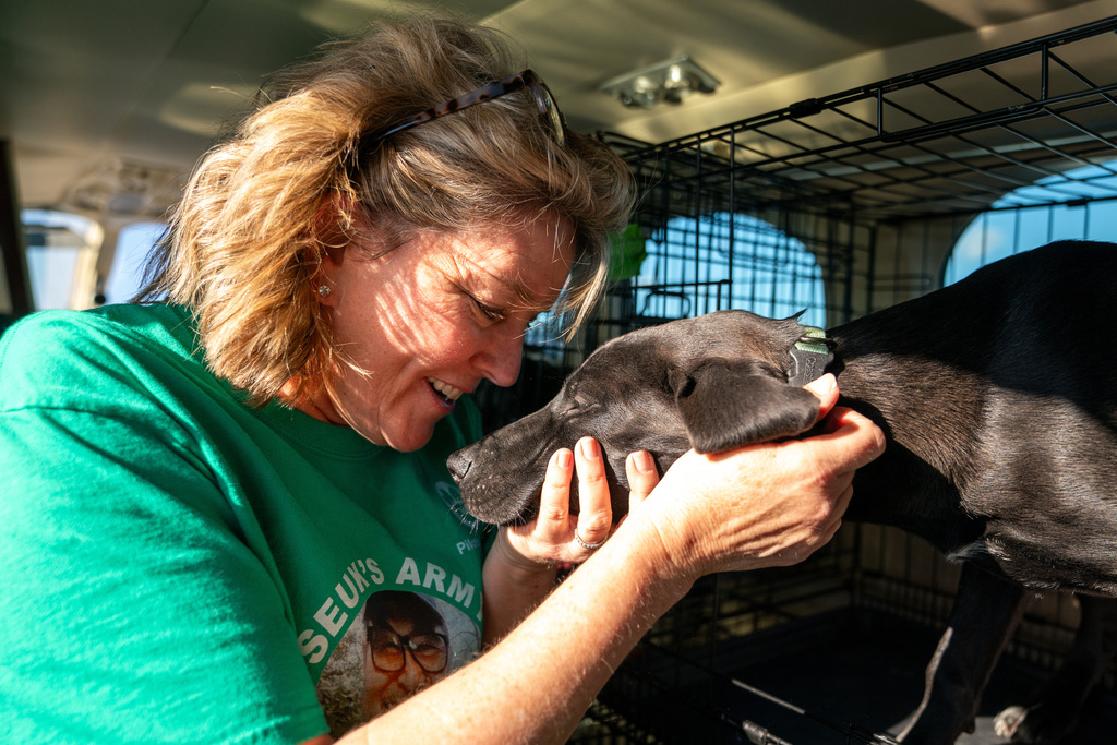 Sydney Galley pets a dog on a plane before passing it off to other volunteers, Nov. 23, 2025, at Culpeper Regional Airport in Brandy Station, Va. (AP Photo/Allison Robbert)