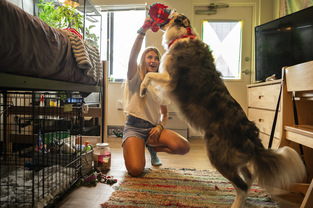 Sophie Nocera, 21, a senior at Eckerd College, plays with her dog Zuco in her college dorm on Wednesday, Aug. 20, 2025 in St. Petersburg, Fla. (AP Photo/Tina Russell)