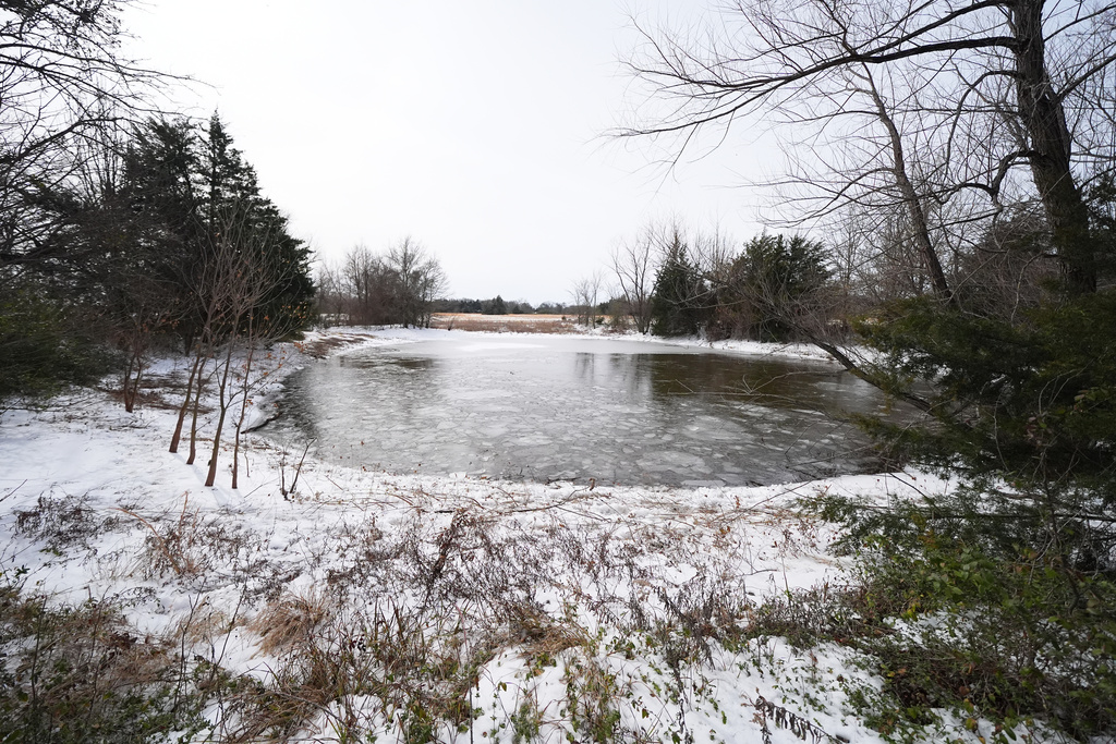A pond where neighbors say three young boys died after falling into the water is seen Tuesday, Jan. 27, 2026, in Bonham, Texas. (AP Photo/Julio Cortez)