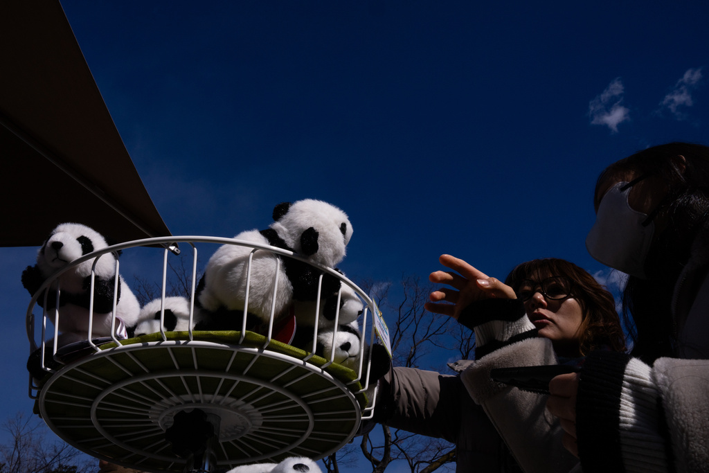 Visitors browse through panda-themed items at a souvenir store in Ueno Zoo in Tokyo, Sunday, Jan. 25, 2026. (AP Photo/Louise Delmotte)