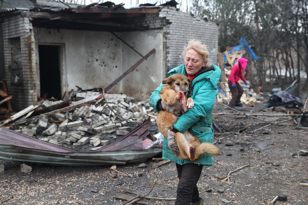 People evacuate wounded dogs after a Russian aerial strike hit a stray dog shelter in Zaporizhzhia, Ukraine, Friday, Feb. 6, 2026. (AP Photo/Kateryna Klochko)