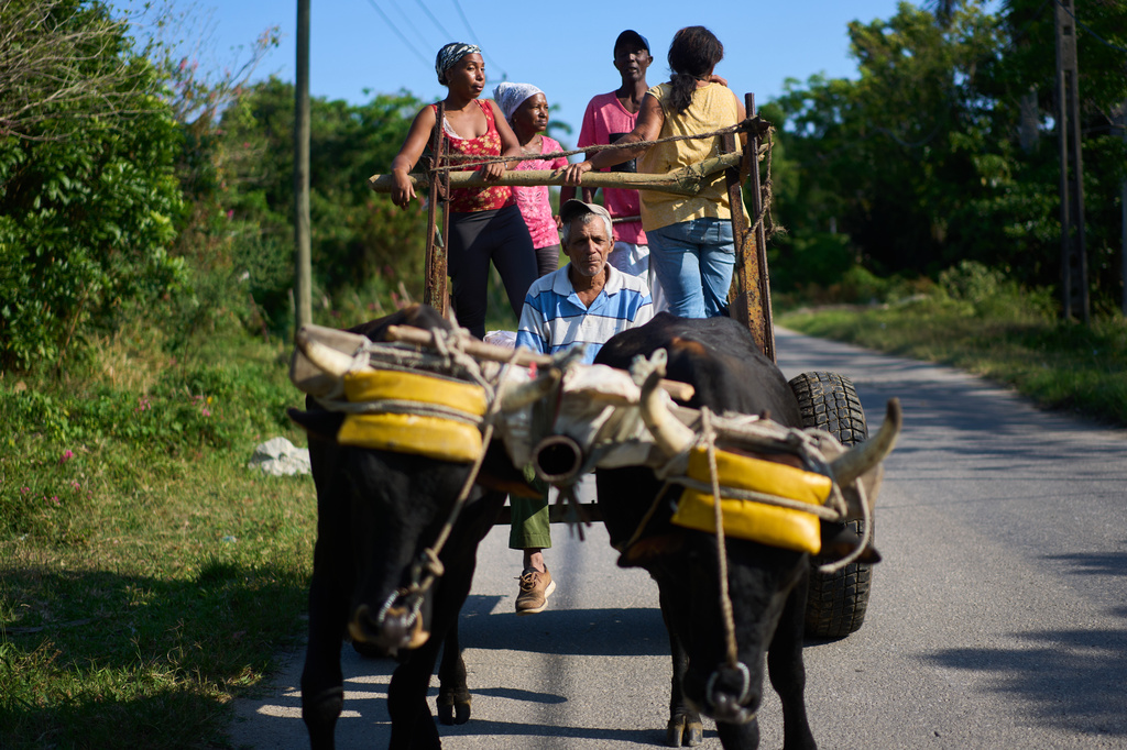 Farmworkers travel in an ox-drawn cart in Minas, Havana province, Cuba, Monday, April 27, 2026. (AP Photo/Ramon Espinosa)
