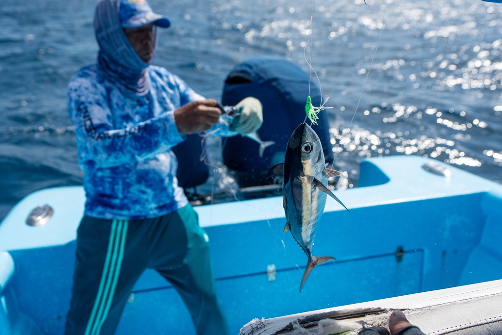 A blue runner hangs on a line in Bayahibe, Dominican Republic on Oct. 20, 2025. (AP Photo/Francesco Spotorno)