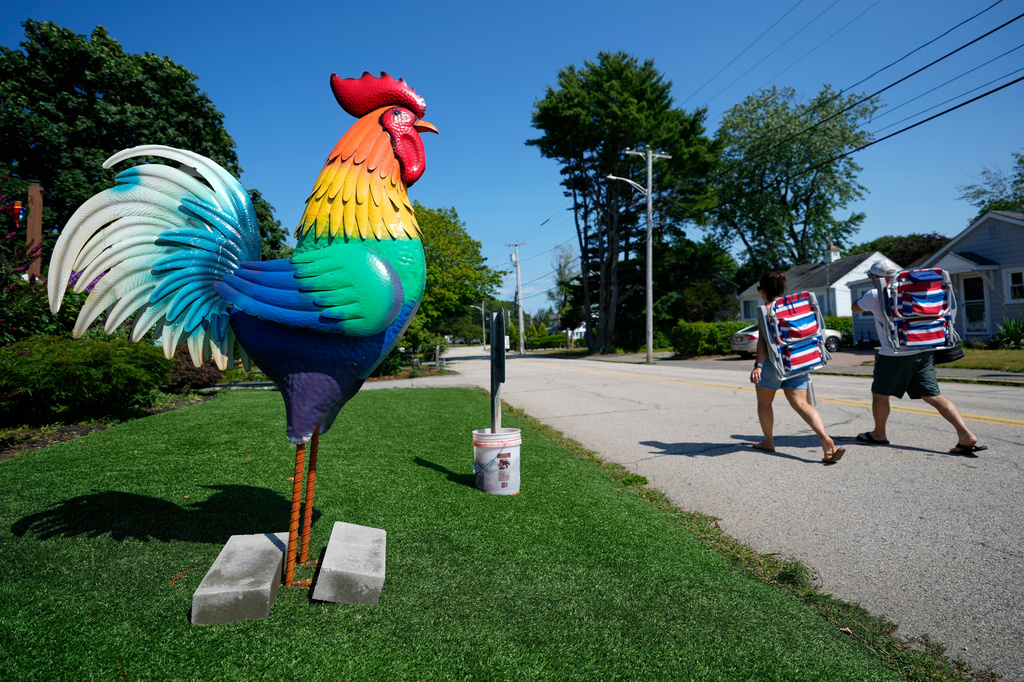 Beach-goers pass by a large tin rooster set up outside a motel in solidarity with a young girl with autism in Ogunquit, Maine, Wednesday, July 22, 2026. (AP Photo/Robert F. Bukaty)