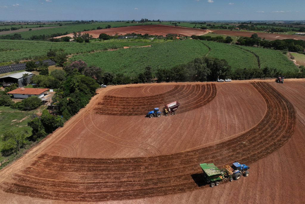 Tractors plant seedlings at Bom Retiro sugarcane farm in Artur Nogueira, Brazil, Tuesday, March 24, 2026. (AP Photo/Andre Penner)