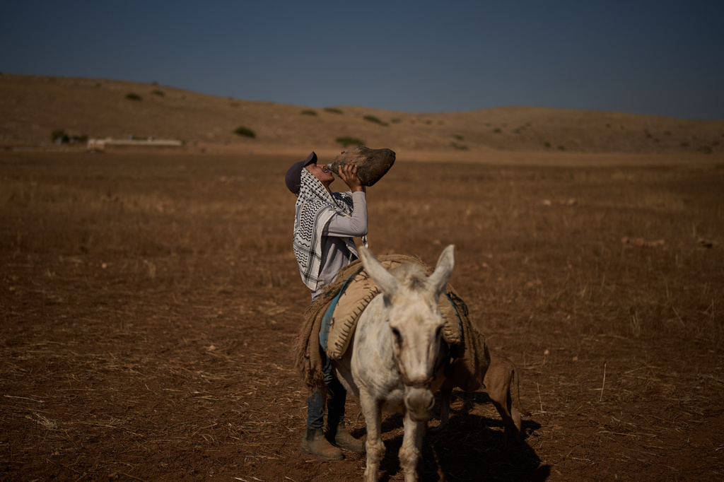 Ahmad, 15, drinks water after being stopped by Israeli soldiers while grazing his flock near his community in the northern Jordan Valley in the occupied West Bank, Wednesday, June 24, 2026. (AP Photo/Leo Correa)