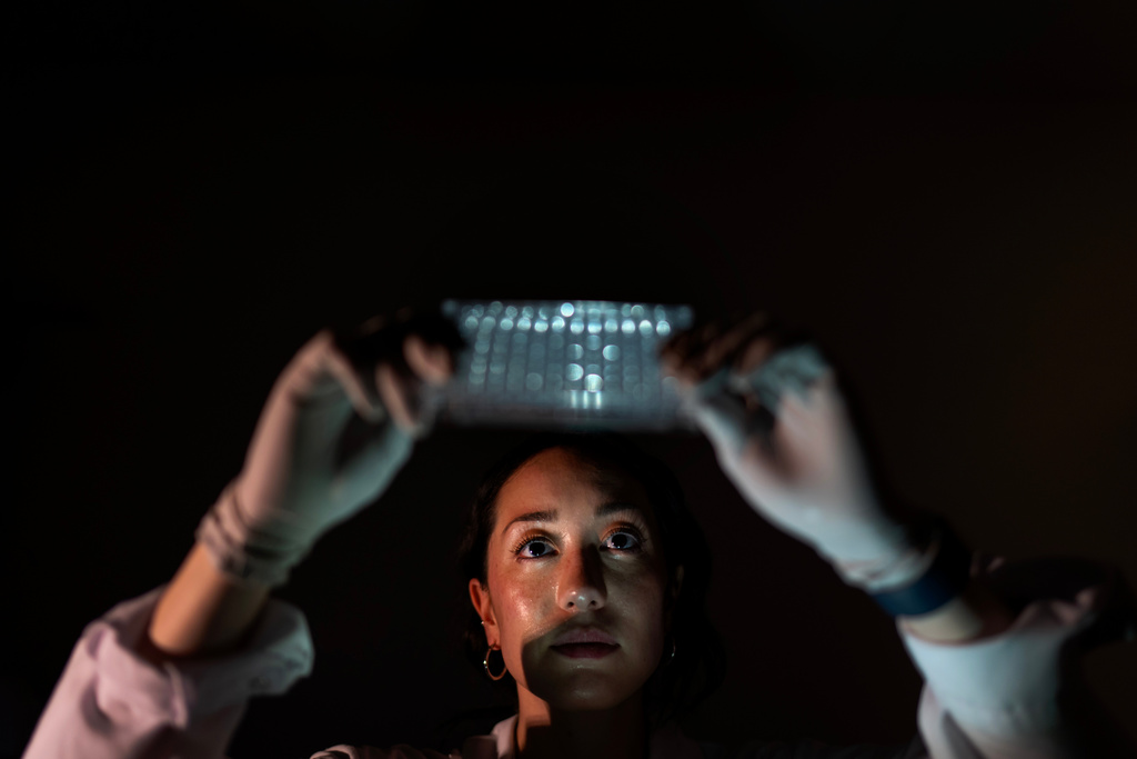 Researcher Kathryn Luly poses for a portrait holding a plate of mice cell samples in a biomedical engineering lab at Johns Hopkins University in Baltimore, Md., Tuesday, May 13, 2025. Luly is part of a team using mRNA technology to develop new treatments for autoimmune diseases. Cell tests show if the different formulas are reaching the correct targets. "The thing that's really amazing about the immune system is that it's all this very unique balance. It's like a little bit of this is good, but too much is bad. So as an engineer, it's a very unique problem of trying to sort of thread the needle and find that balance between activation and suppression. I think it appeals to the engineering side of my brain and then also some of the biology of the immune system is just really fascinating. It's a really nice blend of biology and engineering that comes together.” (AP Photo/David Goldman)