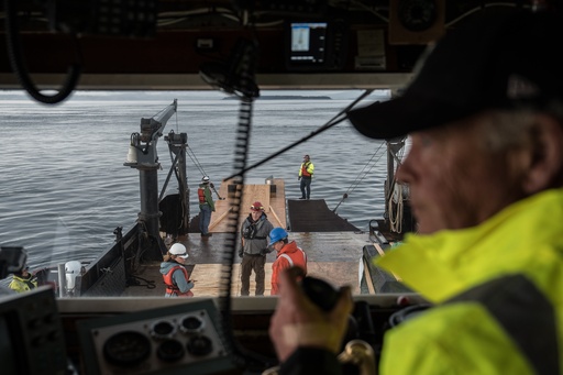Researchers from the University of Washington deploy a 1.3-mile fiber-optic cable to test whether internet cables can detect endangered orca vocalizations near San Juan Island, Wash., Friday, Oct. 10, 2025. (AP Photo/Annika Hammerschlag) Researchers from the University of Washington deploy a 1.3-mile fiber-optic cable to test whether internet cables can detect endangered orca vocalizations near San Juan Island, Wash., Friday, Oct. 10, 2025. (AP Photo/Annika Hammerschlag)