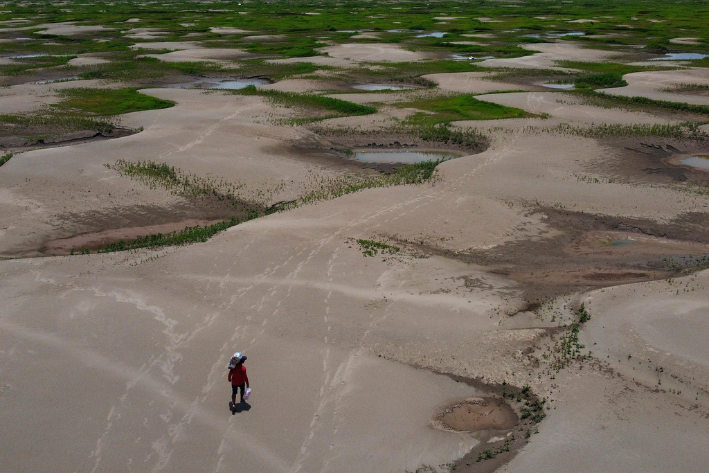 FILE - A resident of a riverside community carries food and containers of drinking water after being distributed due to the ongoing drought in Careiro da Varzea, Amazonas state, Brazil, Oct. 24, 2023. (AP Photo /Edmar Barros, File)