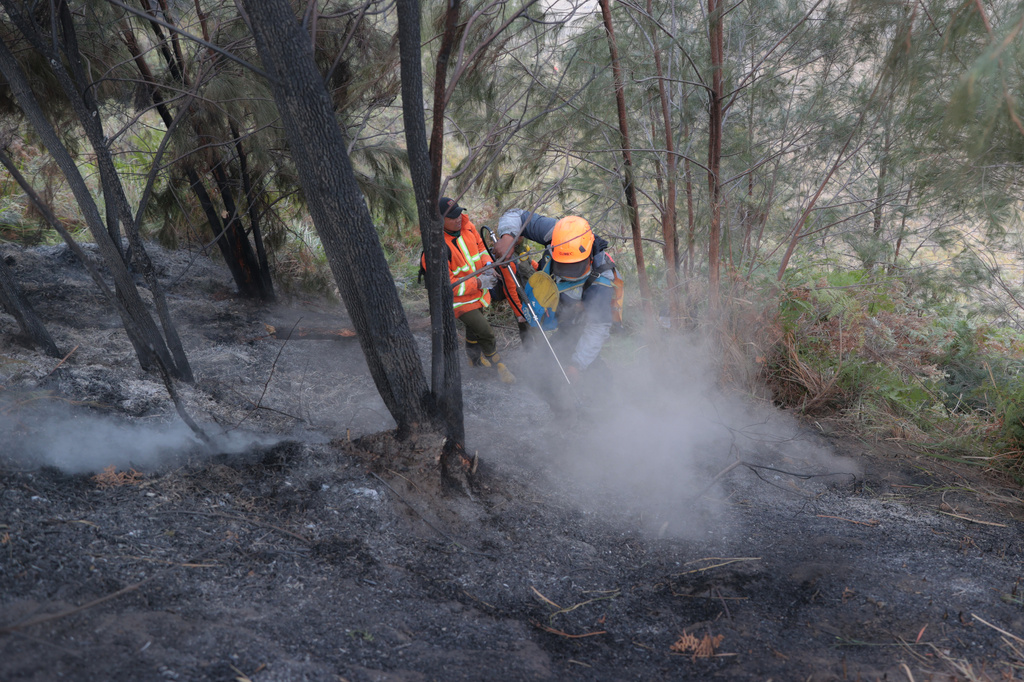 Firefighters attempt to extinguish wildfire that razes through vegetation near Mount Bromo in Bromo Tengger Semeru National Park in Probolinggo, East Java, Indonesia, Monday, Aug. 10, 2026. (AP Photo/Trisnadi)