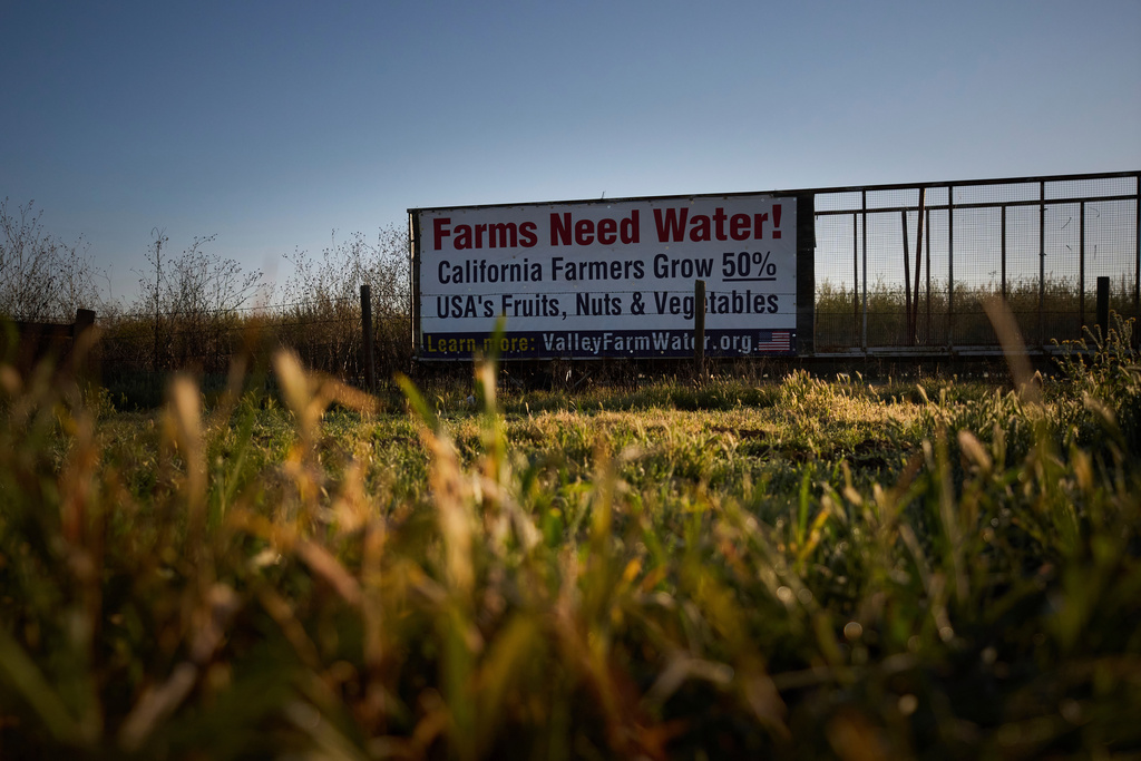 FILE -A sign reading "Farmland Needs Water!" stands along a field in Riverdale, Calif., Saturday, March 8, 2025. (AP Photo/Jae C. Hong, File)