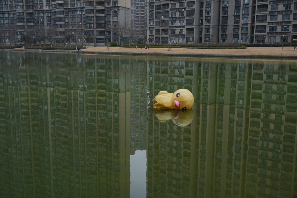 A partially deflated giant rubber duckie floats in an artificial canal at the semi-abandoned "Life in Venice" housing complex in Qidong, on China's east coast, Feb. 5, 2026. (AP Photo/Dake Kang)