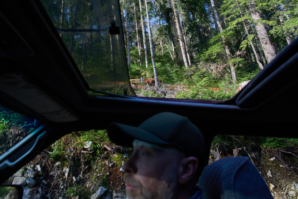 Land defender Steven "Shambu" Daniluk drives down a road used for logging near Port Renfrew, British Columbia, Thursday, May 28, 2026. (AP Photo/Annika Hammerschlag)