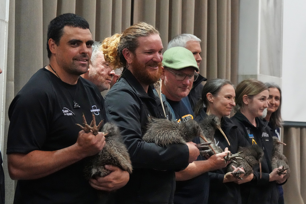 Staff members of conservation organizations hold kiwi birds during an event at Parliament in Wellington, New Zealand, Tuesday, April 28, 2026. (AP Photo/Charlotte Graham-McLay)