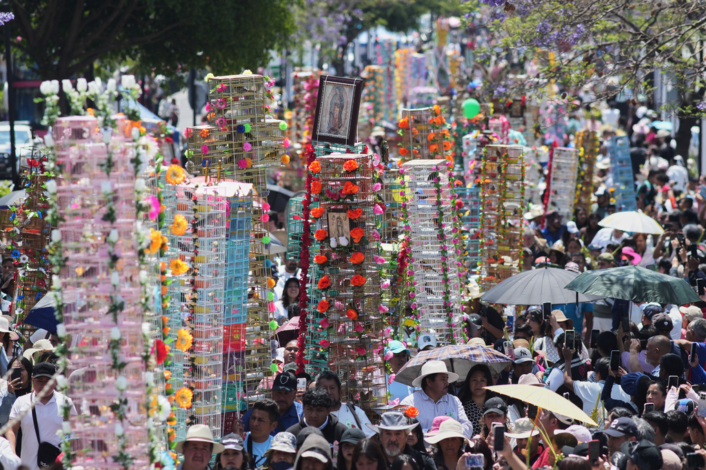 People walk with decorated bird cages during an annual pilgrimage of bird vendors to the Basilica of Guadalupe in Mexico City, Sunday, March 29, 2026. (AP Photo/Eduardo Verdugo)