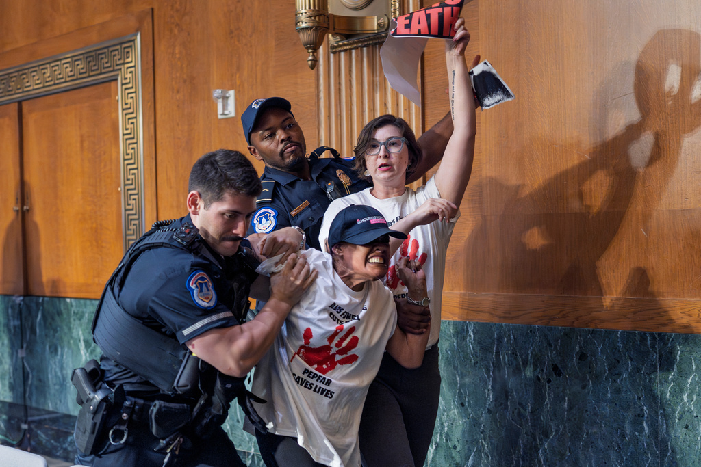 FILE - U.S. Capitol Police remove protesters who started shouting as the director of the White House Office of Management and Budget began to testify on proposed budget cuts, during a Senate Appropriations Committee hearing at the Capitol in Washington, June 25, 2025. (AP Photo/J. Scott Applewhite, File)