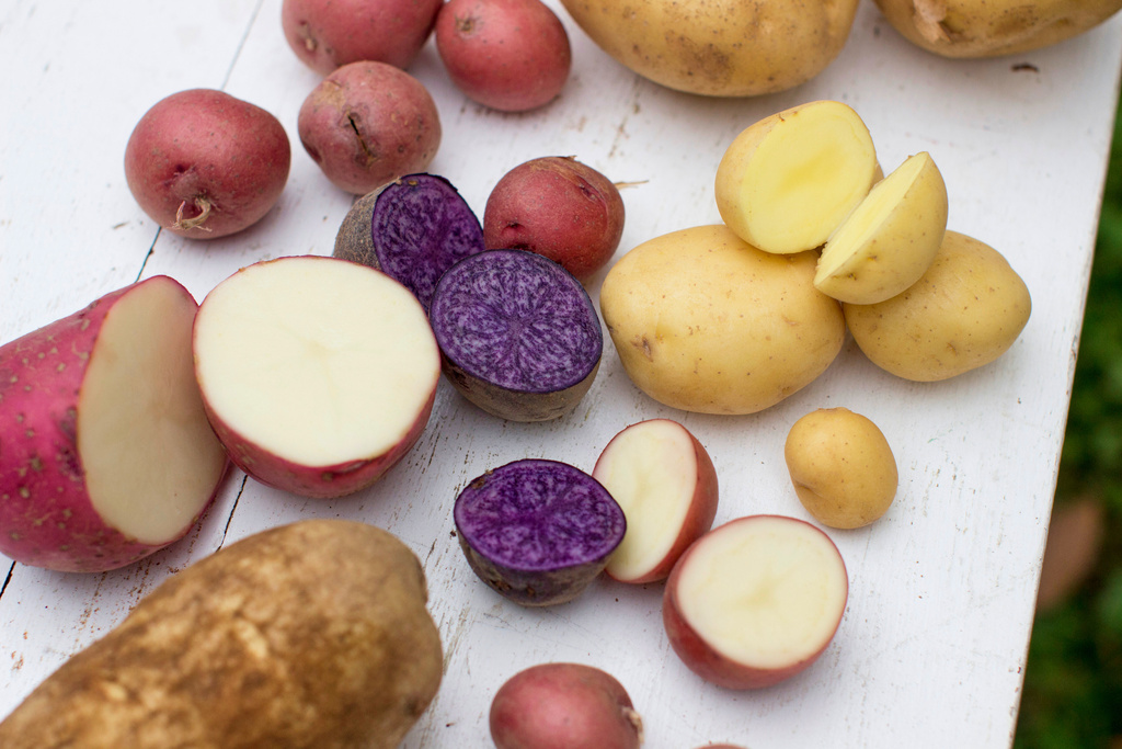 FILE - A variety of potatoes are displayed in Concord, N.H., on Sept. 29, 2014. (AP Photo/Matthew Mead, File)