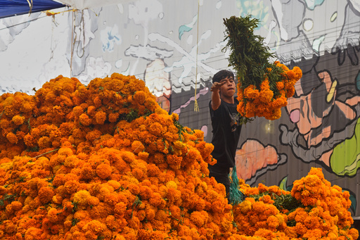 A worker unloads marigold flowers, known as cempasuchil, used during Day of the Dead celebrations, at the Jamaica flower market in Mexico City, Monday, Oct. 27, 2025. (AP Photo/Jon Orbach) A worker unloads marigold flowers, known as cempasuchil, used during Day of the Dead celebrations, at the Jamaica flower market in Mexico City, Monday, Oct. 27, 2025. (AP Photo/Jon Orbach)