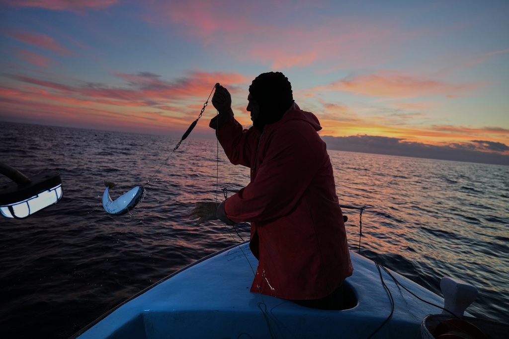 Fisherman Photis Gaitanos catches a toadfish while fishing from his boat off the coast of Larnaca, Cyprus, in the eastern Mediterranean, early Saturday, Dec. 20, 2025. (AP Photo/Petros Karadjias)