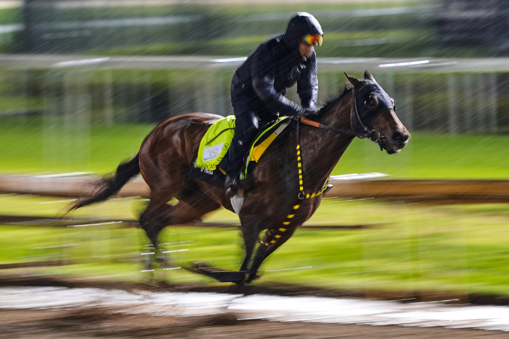 Kentucky Derby alternate Robusta works out at Churchill Downs Wednesday, April 29, 2026, in Louisville, Ky. (AP Photo/Charlie Riedel)