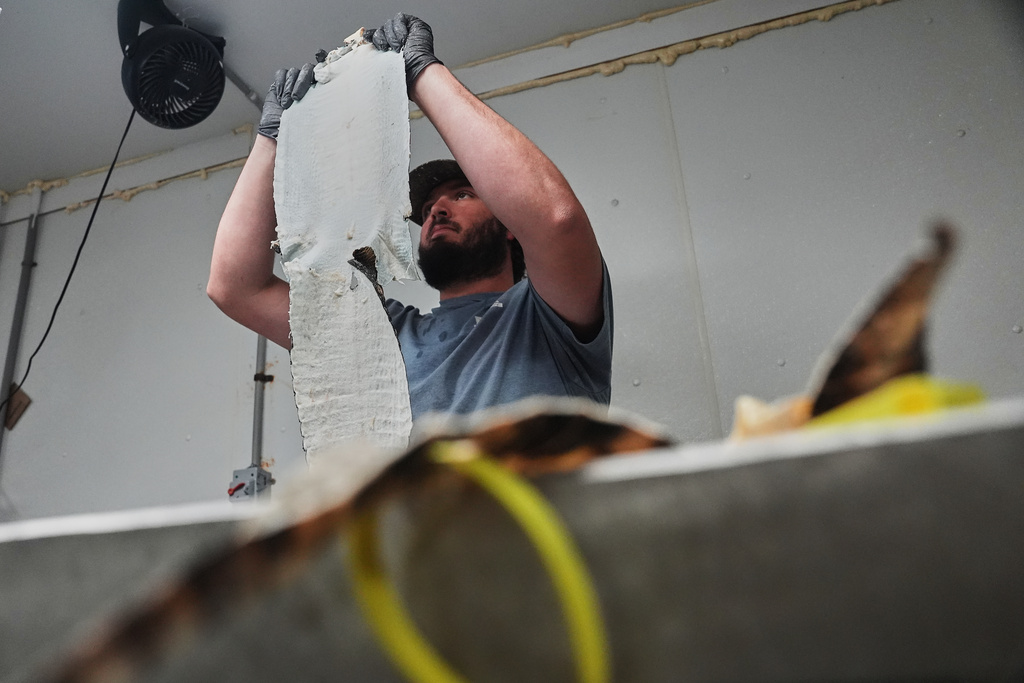Jacob Sagrera inspects an alligator skin Tuesday, Jan. 20, 2026, at a farm in Abbeville, La. (AP Photo/Joshua A. Bickel)