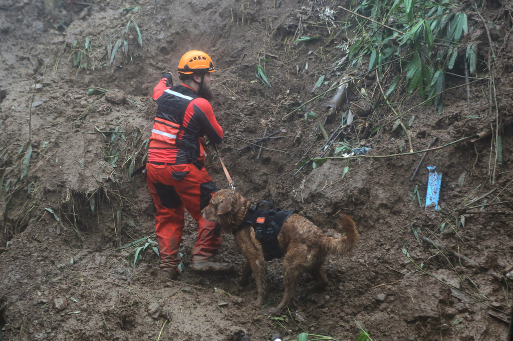 A rescuer and his K-9 dog conduct search and rescue operations for missing residents a day after several houses were buried from a landslide due to heavy monsoon rains in Guisad Surong, Baguio City, northern Philippines, Monday, Aug. 10, 2026. (AP Photo/Harley Palangchao)