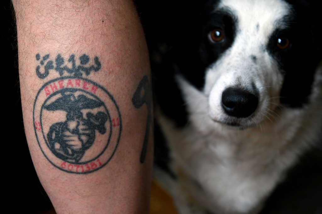 Joe Shearer, who was diagnosed with traumatic brain injuries from fighting in Iraq in 2005, shows his U.S. Marine Corps leg tattoo next to his dog Desmond, at his home in Colorado Springs, Colo., on Wednesday, Aug. 5, 2026. (AP Photo/Thomas Peipert)