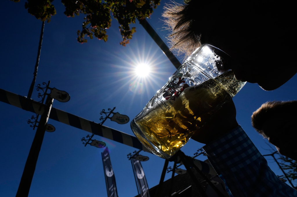 A young man drinks beer as he erects a traditional May pole in Kuehbach, Germany, Friday, May 1, 2026. (AP Photo/Matthias Schrader)