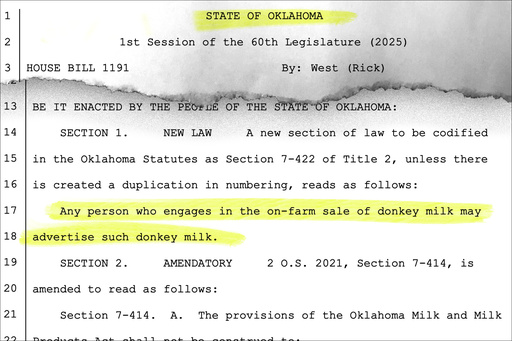 AP Illustration Source: House Bill 1191 in the 1st Session of the State of Oklahoma 60th Legislature (2025) AP Illustration Source: House Bill 1191 in the 1st Session of the State of Oklahoma 60th Legislature (2025)