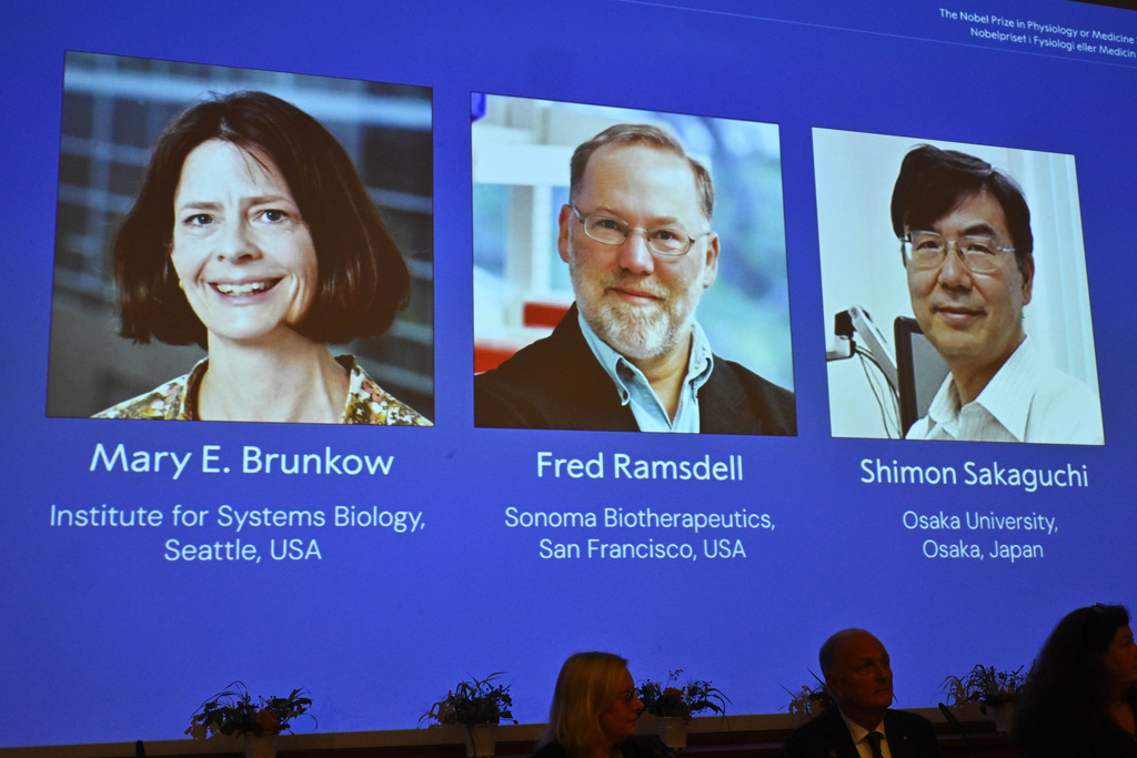 A screen showing the photos of Mary E Brunkow, Fred Ramsdell and Shimon Sakaguchi who were awarded the Nobel Prize in Medicine or Physiology, at the Nobel Assembly of the Karolinska Institutet, in Stockholm, Sweden, Monday, Oct. 6, 2025. (Claudio Bresciani/TT News Agency via AP)