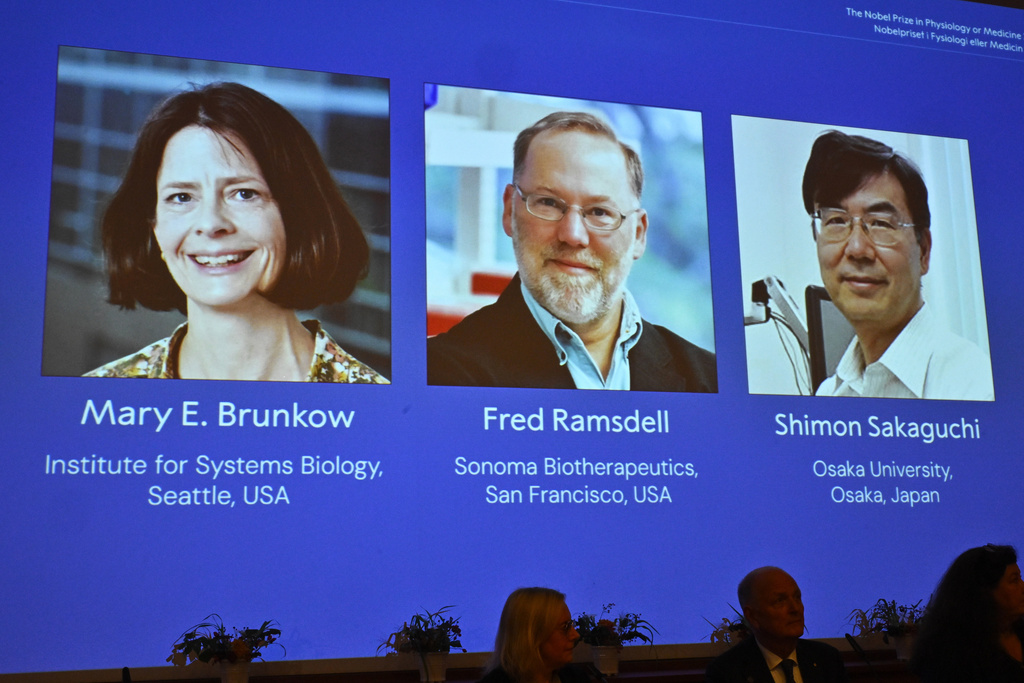 A screen showing the photos of Mary E Brunkow, Fred Ramsdell and Shimon Sakaguchi who were awarded the Nobel Prize in Medicine or Physiology, at the Nobel Assembly of the Karolinska Institutet, in Stockholm, Sweden, Monday, Oct. 6, 2025. (Claudio Bresciani/TT News Agency via AP)