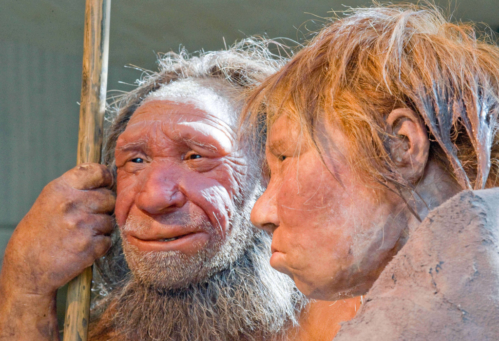 FILE - This Friday, March 20, 2009 file photo shows reconstructions of a Neanderthal man, left, and woman at the Neanderthal museum in Mettmann, Germany. (AP Photo/Martin Meissner, File)