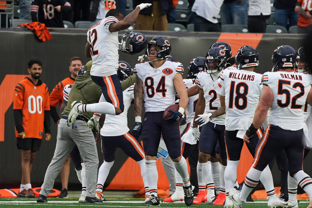 CORRECTS TO SECOND HALF NOT FIRST HALF - Chicago Bears tight end Colston Loveland (84) celebrates his touchdown during the second half of an NFL football game against the Cincinnati Bengals, Sunday, Nov. 2, 2025, in Cincinnati. (AP Photo/Joshua A. Bickel)
