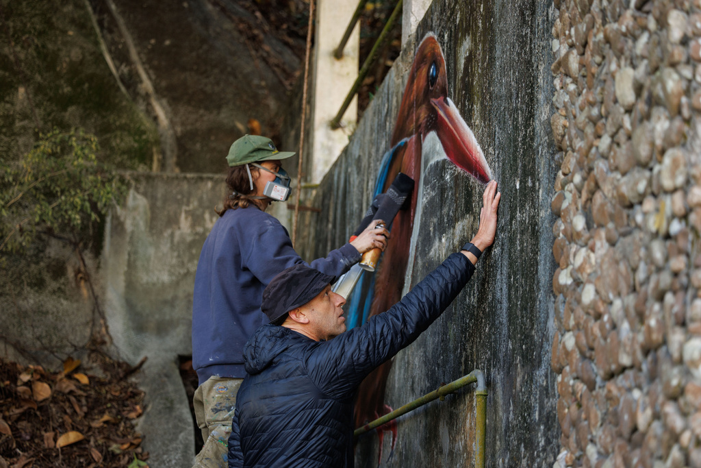 Dominic Johnson-Hill looks at a white-throated kingfisher mural being painted by Rob Aspire near Wang Tong village, Lantau, Hong Kong, Jan. 27, 2025. (AP Photo/May James)