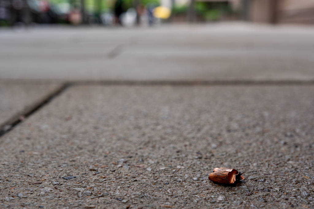 A copper jacket of a bullet is found near the scene of a shooting close to the White House, Sunday, May 24, 2026, in Washington. (AP Photo/Alex Brandon)