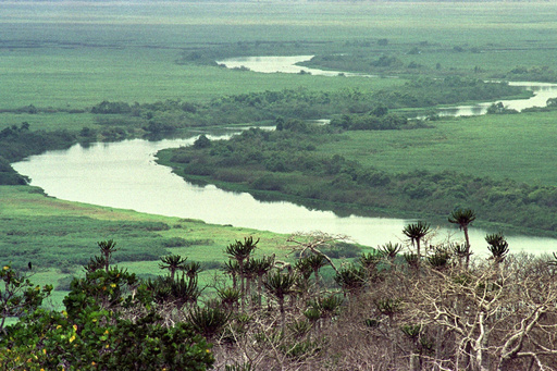 FILE - The Kwanza river snakes through the Quicama National Park about 75 kilometers (47 miles) south of Luanda, Angola, Sept 19, 2000. (AP Photo/Armando Franca, File) FILE - The Kwanza river snakes through the Quicama National Park about 75 kilometers (47 miles) south of Luanda, Angola, Sept 19, 2000. (AP Photo/Armando Franca, File)