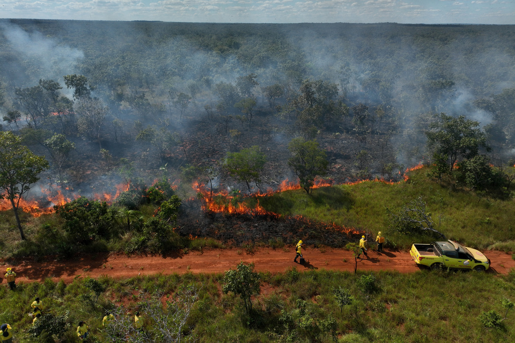 Xerente Indigenous firefighters attend a controlled burn as part of a fire prevention operation along Brazil's environmental protection agency, IBAMA, at the Xerente territory, near Tocantinia, Tocantins state, Brazil, Tuesday, May 19, 2026. (AP Photo/Andre Penner)