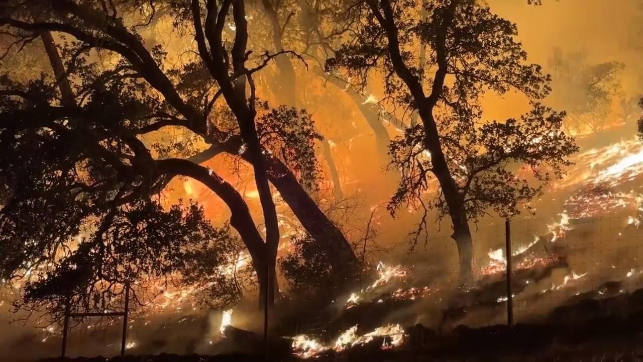 Wildfires in California wine country and Central Oregon grew overnight, prompting hundreds of evacuations as firefighters worked Sunday to try to contain the blazes amid dry, hot weather. (AP Video by Noah Berger)