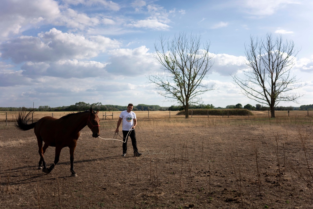 Szilárd Zerinváry member of the volunteer water guardians group walks his horse in his parched backyard in Kiskunmajsa, Hungary, Monday, July 28, 2025. (AP Photo/Denes Erdos)