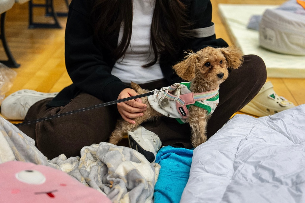 A pet dog with its owner rest at a temporary shelter near the fire scene at Wang Fuk Court, a residential estate in the Tai Po district of Hong Kong's New Territories, Thursday, Nov. 27, 2025. (AP Photo/Chan Long Hei)