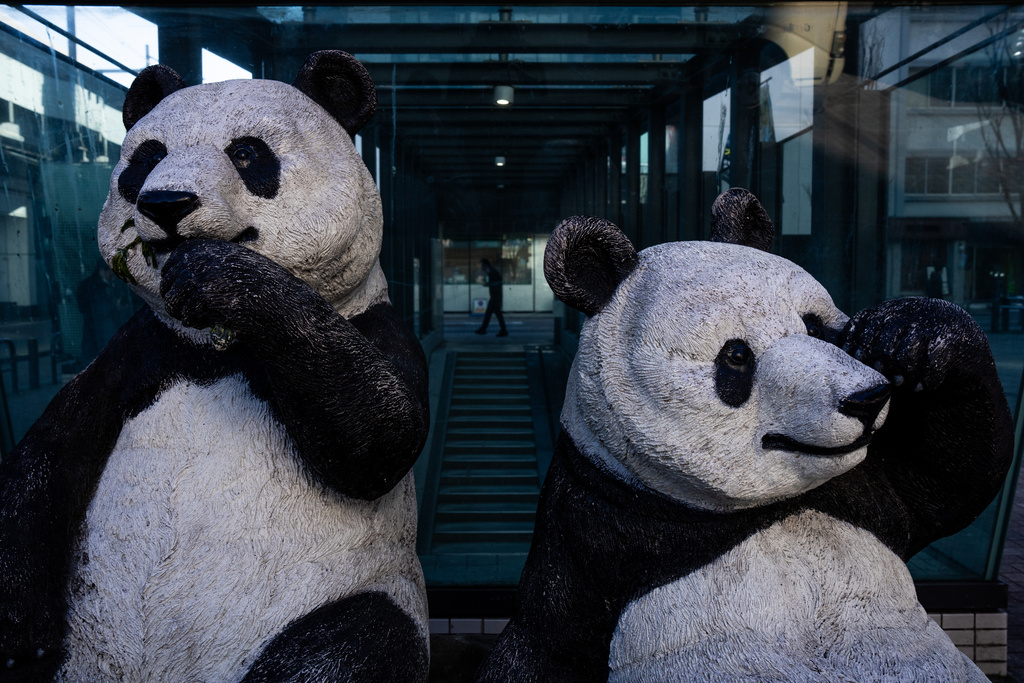 Pedestrians pass panda statues in a square near Ueno Zoo in Tokyo, Thursday, Jan. 8, 2026. (AP Photo/Louise Delmotte)