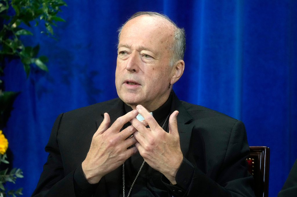 FILE - Cardinal Robert McElroy of Washington attends a press conference at the North American College in Rome, Friday, May 9, 2025. (AP Photo/Gregorio Borgia,File)