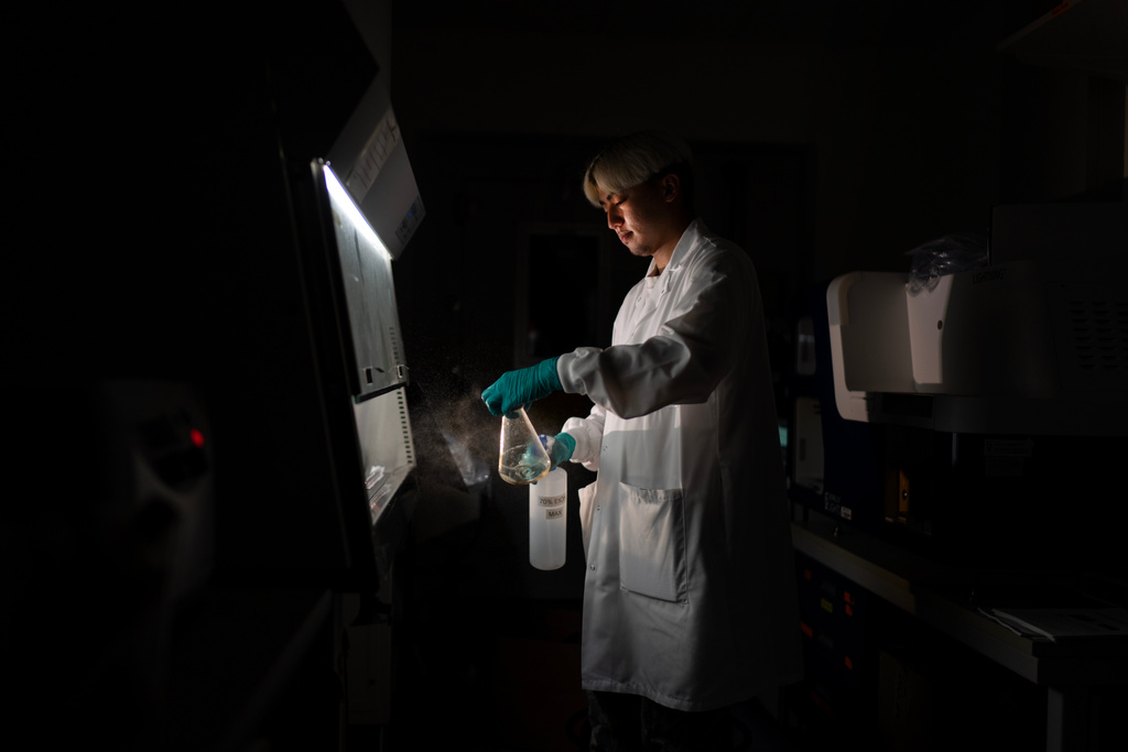 Researcher Kyle Kaeo poses for a portrait as he sterilizes a flask to prepare hampster cells for protein production in a lab at Johns Hopkins University in Baltimore, Md., Tuesday, May 13, 2025. Kaeo is part of a team developing antibodies that could recognize faulty immune cells driving autoimmune diseases and help eliminate them. "I pivoted from doing cancer research to autoimmunity. It kind of seems like this is the frontier of something new. It's very cutting-edge. You know, not a lot in this field, kind of like what we're doing now has been done before. So that was really attractive to me, kind of the novelty and the idea that this can change patient care from what it's been traditionally." (AP Photo/David Goldman)