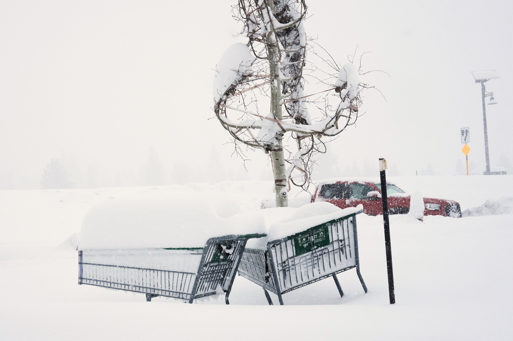Shopping carts are buried during a snow storm on Tuesday, Feb. 17, 2026 in Truckee Calif. (AP Photos/Brooke Hess-Homeier)