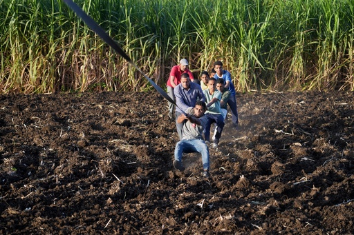 Ground crew members pull a hot air balloon during landing on the west bank of the Nile River in Luxor, Egypt, Oct. 4, 2025. (AP Photo/Amr Nabil) Ground crew members pull a hot air balloon during landing on the west bank of the Nile River in Luxor, Egypt, Oct. 4, 2025. (AP Photo/Amr Nabil)