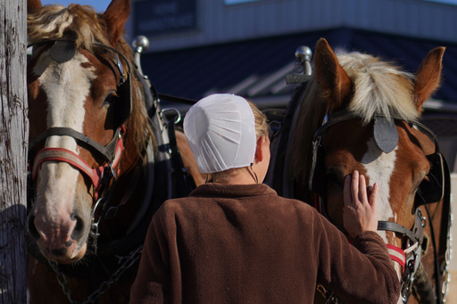 Photo: Bay to Bay News Amish Measles Outbreak Surges Past 1,350 Cases With Five Deaths